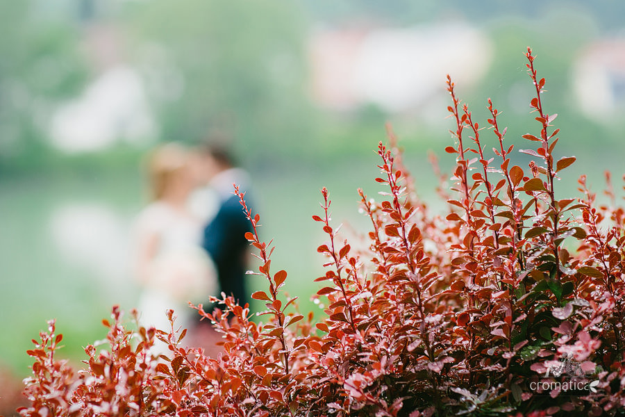 Fotografii nunta Passau, Germania - Maria + Daniel (39)